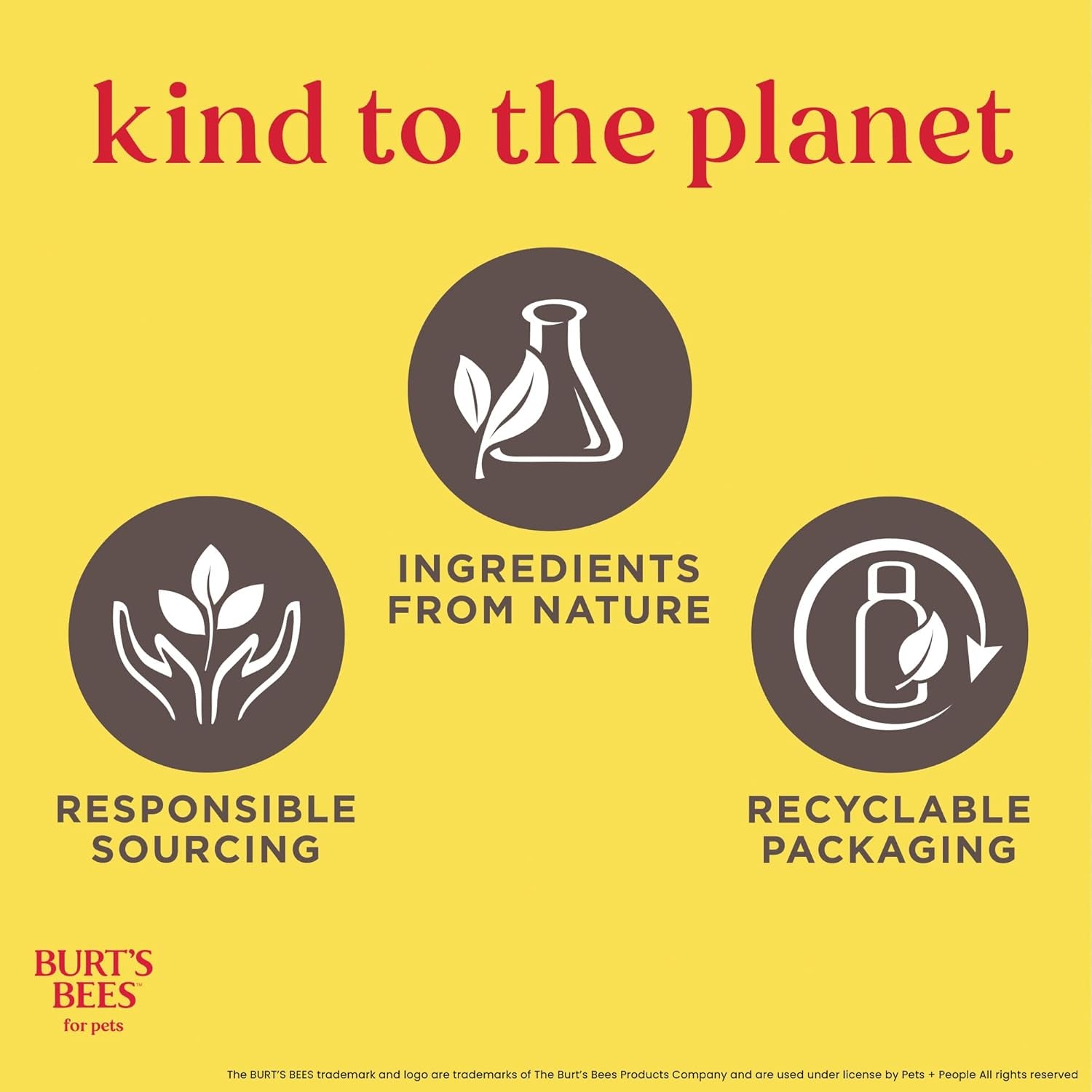 Waterless Shampoo Spray for Dogs, Apple & Honey, No-Rinse Dry Dog Shampoo for All Dogs and Puppies, Ph Balanced, No Sulfates, Parabens, Phthalates, 10 Fl Oz