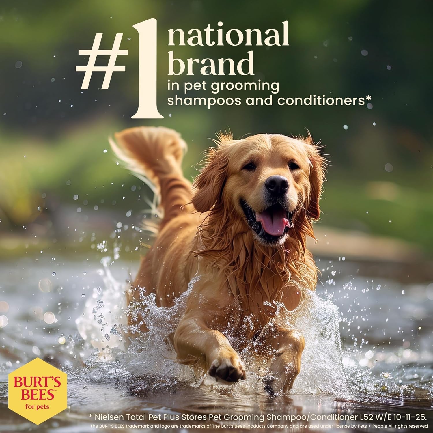 Waterless Shampoo Spray for Dogs, Apple & Honey, No-Rinse Dry Dog Shampoo for All Dogs and Puppies, Ph Balanced, No Sulfates, Parabens, Phthalates, 10 Fl Oz