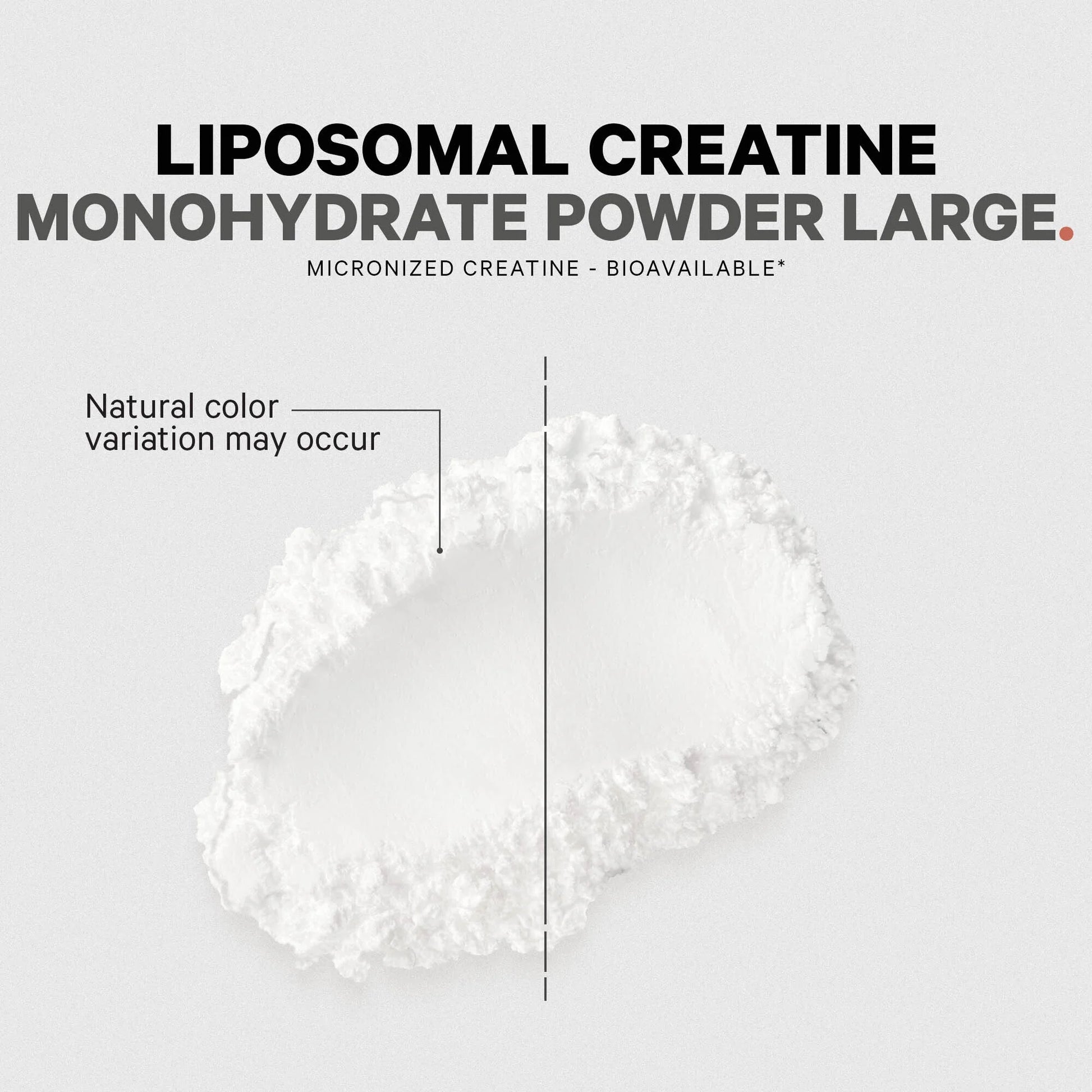 Liposomal Creatine Monohydrate Powder Supplement, Unflavored, 3-Month Supply, 90 Servings