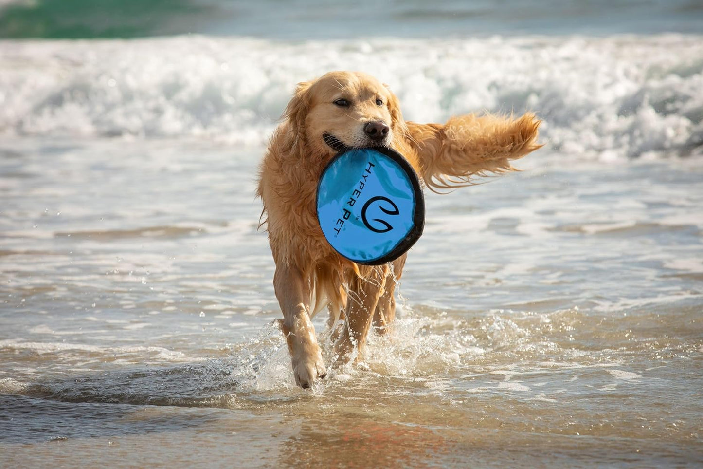 Flippy Flopper Dog Frisbee Interactive Dog Toys (Flying Disc Dog Fetch Toy - Floats in Water & Safe on Teeth) 2 Pack or 5 Pack, Colors Will Vary