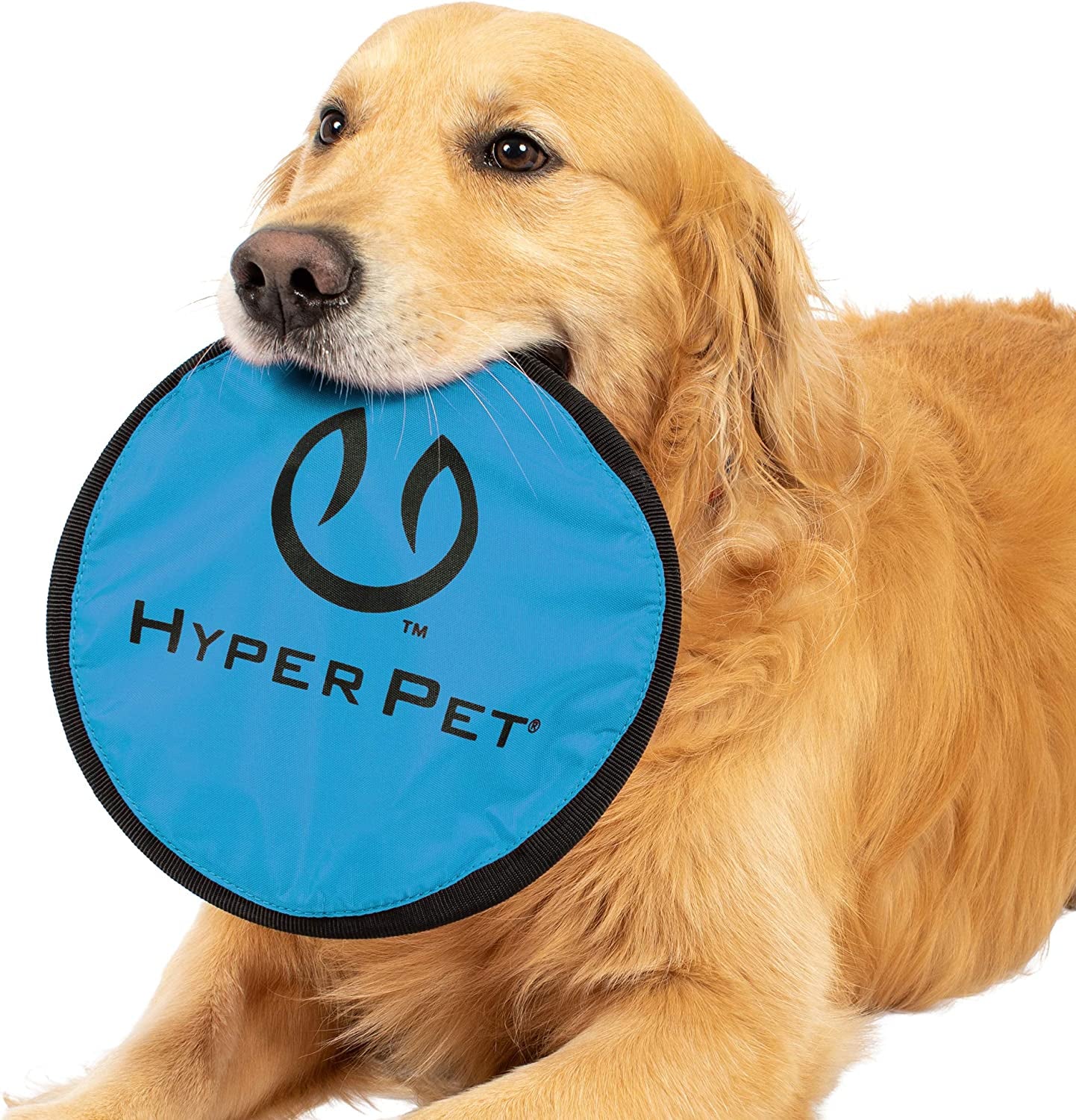 Flippy Flopper Dog Frisbee Interactive Dog Toys (Flying Disc Dog Fetch Toy - Floats in Water & Safe on Teeth) 2 Pack or 5 Pack, Colors Will Vary