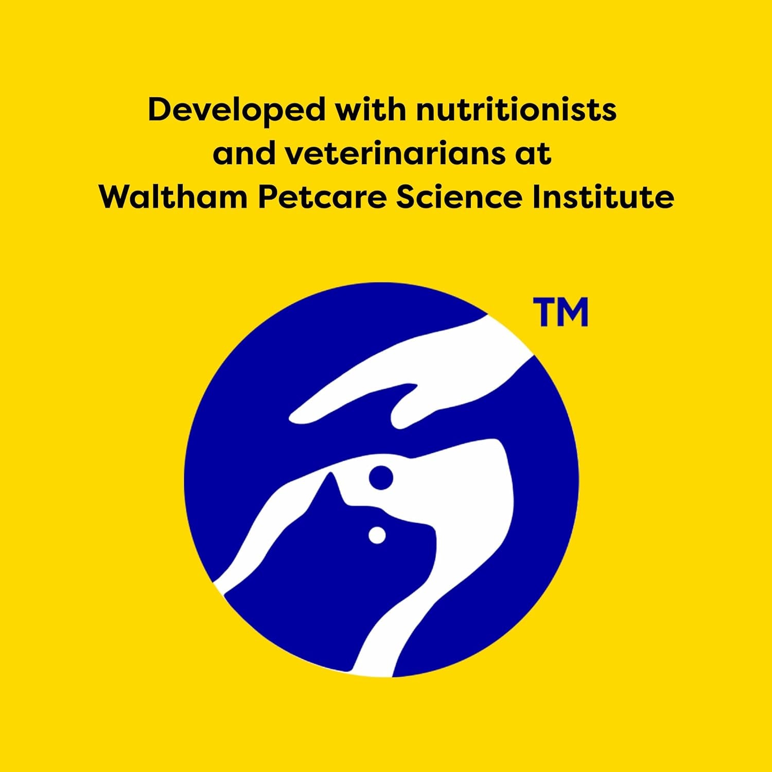 Jumbo Stuffed Cat Treats, Crunchy and Soft Cat Treats, Tasty Chicken Flavor, 2.5 Oz. Pouch (Pack of 12)