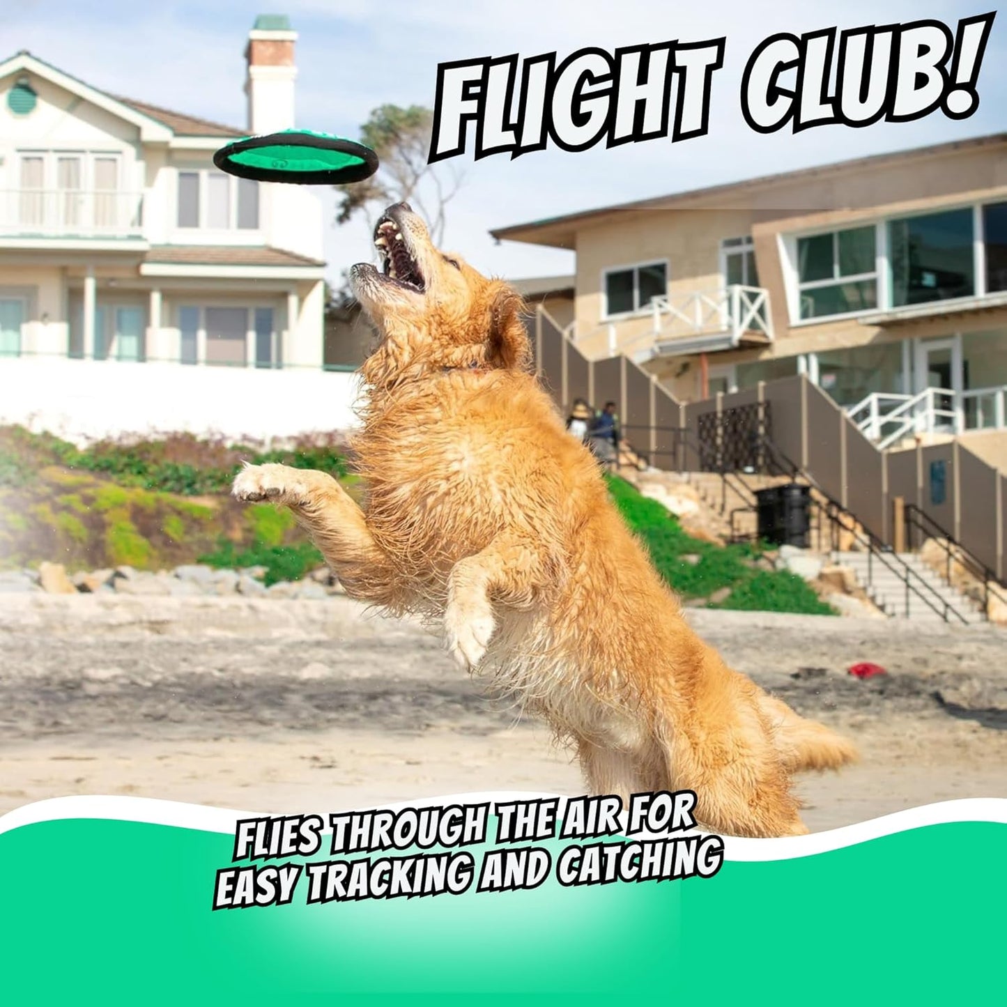 Flippy Flopper Dog Frisbee Interactive Dog Toys (Flying Disc Dog Fetch Toy - Floats in Water & Safe on Teeth) 2 Pack or 5 Pack, Colors Will Vary